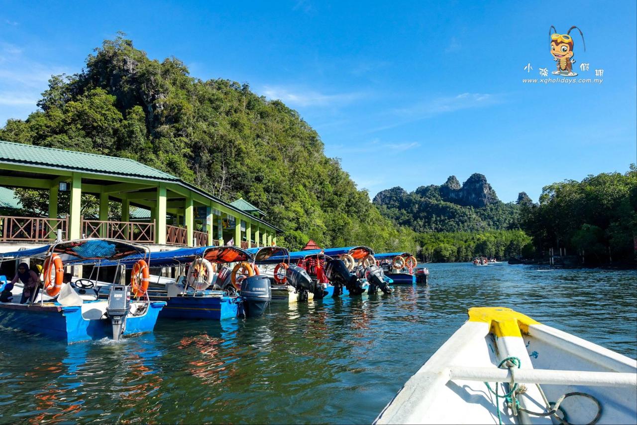 Jelajahi Mangrove Langkawi: Tur yang Menakjubkan di Ekosistem Pesisir